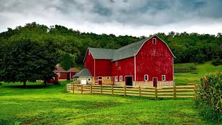 1 Hour Farm Animal Ambient Sounds for Sleep & Relaxation