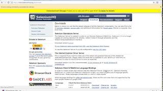Download files using selenium | LetCode