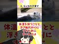 こだわりが強すぎるラッコが残念すぎる【ゆっくり動物解説】 shorts