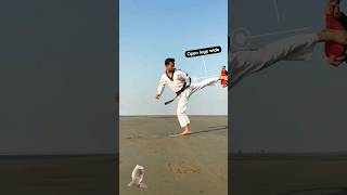 taekwondo Kick #shorts #viral #taekwondo #fight #martialarts #karate