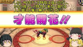 「DQモンパレ実況」ゆっくり達の最強パレード育成日記　478ページ目　強敵狩りの続きとれんごく天馬の強化！！