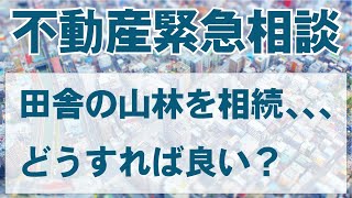 【不動産相談】田舎の山林を相続してしまった。どうすれば良い?