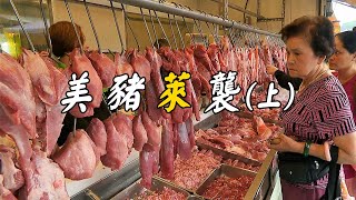 【瘦肉精】美豬「萊」襲｜萊克多巴胺食否安心？《上》(我們的島 第1087集 2020-12-28)