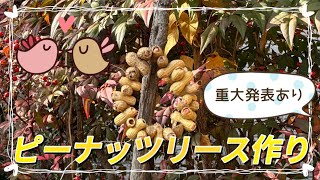 ピーナッツリース作り🥜