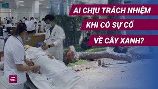 Vụ gãy cây khiến 5 người thương vong ở công viên Tao Đàn, TPHCM: Ai chịu trách nhiệm? | VTC Now