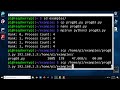 EP02 - Python MPI4Py - Number of Processes and Rank