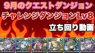 【攻略】チャレダン8解説【9月クエスト】