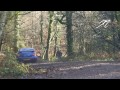 wyedean forest rally 2011 hd by jm