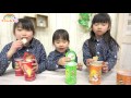 ダンボール工作 自販機を作ったよ★仕組み紹介★pringles★にゃーにゃちゃんねるnya nya channel