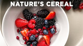 Fancy Nature's Cereal