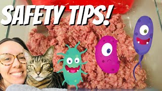 Beginner tips- avoid bacteria in raw cat food
