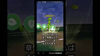 サカキとの対戦！シャドウレジロック編　#ポケモンGO　#サカキ　#シャドウレジロック　#shorts