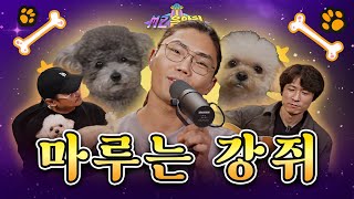 유해한 🐶 마루가 되어버린 범수는 강쥐🐾 | ‘마루는 강쥐’ OST | MZ음악회 EP.8