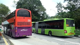 Buses at Seletar Camp G, Singapore 2023