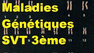 Les maladies génétiques - SVT 3ème