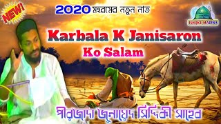 Karbala K Janisaron Ko Salam 2020 New Naat // pirzada junaid siddique shaheb