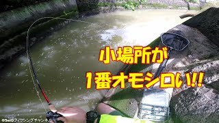 この場所★最高に面白い！！シーバス