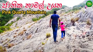 රෝස තිරුවානා කඳුවැටිය | Jathika Namal Uyana -Pink Quartz Mountain (Travel Vlog 65)