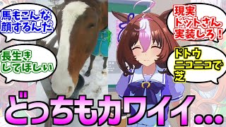 ゲームもリアルも癒し系ドットさんに対するみんなの反応集【ウマ娘プリティーダービー】【メイショウドトウ】