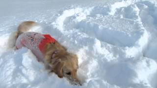 きらら☆雪深い公園♪2012.12