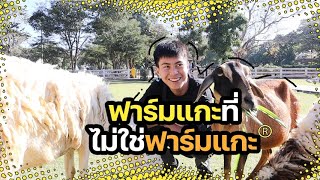 ให้อาหารสัตว์ ที่โคราช เขาใหญ่ฟาร์มวิลเลจ  | SMART GEN