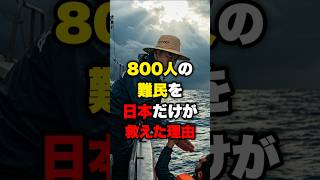 【海外の反応】「どうして日本だけ…」800人の難民を日本だけが救えた理由