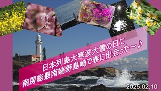 2月の南房総野島崎で春を感じて来ました