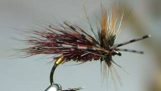 Tying the Gnasher Sedge Hog by Davie McPhail.