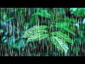 Rainfall on Forest Foliage | Rainstorm Sounds for Sleeping