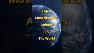 Top 10 Most Beautiful Animals In The World #shorts #viral #ytshorts #animals #be