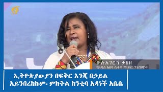 ኢትዮጵያውያን በፍቅር እንጂ በኃይል አይንበረከኩም- ምክትል ከንቲባ አዳነች አቤቤ