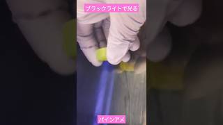 パインアメがブラックライトで光るのは本当だった！　#ブラックライト #実験 #検証動画