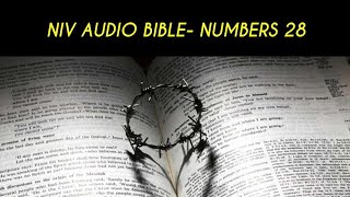 NUMBERS 28 NIV AUDIO BIBLE (with text)