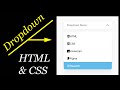 Custom Select Menu Dropdown using HTML | CSS | Vanilla JavaScript