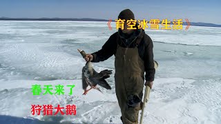 育空冰雪生活22：春天来了，为了狩猎大鹅，村民各显神通