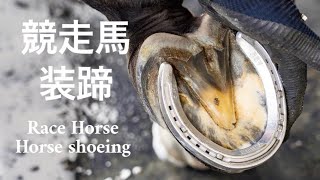 競走馬の装蹄作業#25 / Horse shoeing