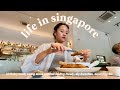 life in singapore | birthday week, being alone without feeling lonely, diy hwachae, exploring SG