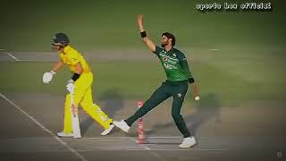 Shaheen shah afridi (the king of swing) best wickets of shaheen shah afridi