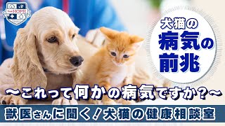 犬猫の病気の前兆～これって何かの病気ですか？～（オンライン健康相談室）