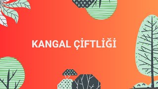 KANGAL ÇİFTLİĞİ