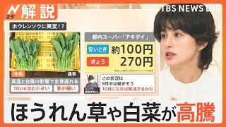 「最悪な状況」次はほうれん草や白菜が高騰…暑さ・台風が影響　世界で“記録的不作”オリーブ、オレンジ、カカオも【Nスタ解説】｜TBS NEWS DIG