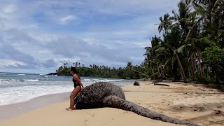 Serenity at Tangbo Beach: A Tranquil Escape in North Siargao