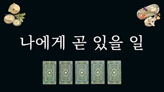 [타로카드]나에게 곧 있을 일