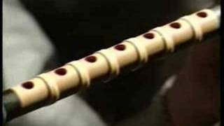Ninjutsu of IGA flute/Fukiya (Blowgun)