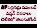 apపెన్షనర్ల నవంబర్ పెన్షన్ వివరాలు చిటికెలో తెలుసుకోండి ap pensioners november pension details