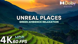 Nature's Green Paradise: UNREAL PLACES IN 4K HDR 60FPS DOLBY VISION