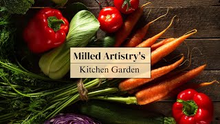 MA's Kitchen Garden eps 1: Whole Wheat Bread, Homemade Salsa, Kitchen Window Garden, ASMR Cooking