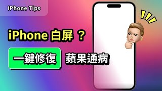 修復 iPhone 白屏的最新指南🔥[安全無憂]