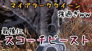 #5【FO76】レベル90が逝くR18禁が逝くフォールアウト76(猛烈リッパーも探す)