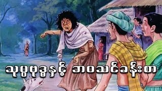 သောတာပန် လူနူဒကာကြီးနှင့် ဘဝသင်ခန်းစာ